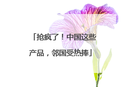 抢疯了！中国这些产品，邻国受热捧