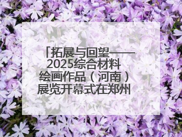 拓展与回望——2025综合材料绘画作品（河南）展览开幕式在郑州美术馆举办