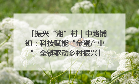 振兴“湘”村｜中路铺镇：科技赋能“金蛋产业” 全链驱动乡村振兴