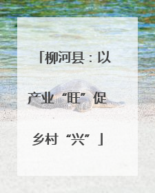 柳河县：以产业“旺”促乡村“兴”