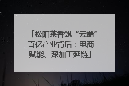 松阳茶香飘“云端” 百亿产业背后：电商赋能、深加工延链