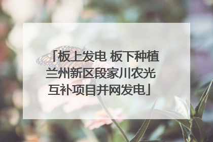 板上发电 板下种植 兰州新区段家川农光互补项目并网发电