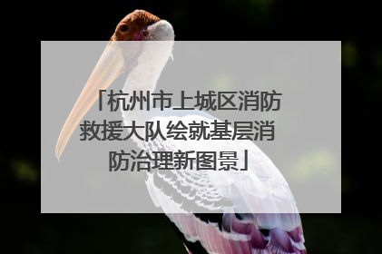 杭州市上城区消防救援大队绘就基层消防治理新图景