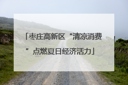枣庄高新区“清凉消费”点燃夏日经济活力
