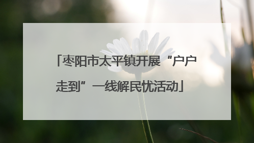 枣阳市太平镇开展“户户走到”一线解民忧活动