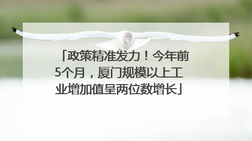 政策精准发力！今年前5个月，厦门规模以上工业增加值呈两位数增长