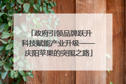 政府引领品牌跃升 科技赋能产业升级——庆阳苹果的突围之路