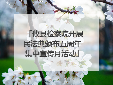 攸县检察院开展民法典颁布五周年集中宣传月活动
