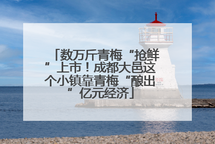 数万斤青梅“抢鲜”上市！成都大邑这个小镇靠青梅“酿出”亿元经济