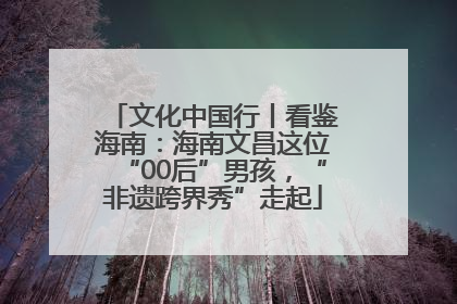 文化中国行丨看鉴海南：海南文昌这位“00后”男孩，“非遗跨界秀”走起