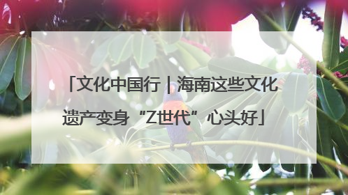文化中国行｜海南这些文化遗产变身“Z世代”心头好