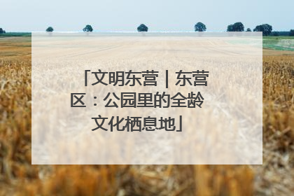 文明东营｜东营区：公园里的全龄文化栖息地