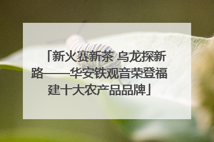 新火赛新茶 乌龙探新路——华安铁观音荣登福建十大农产品品牌