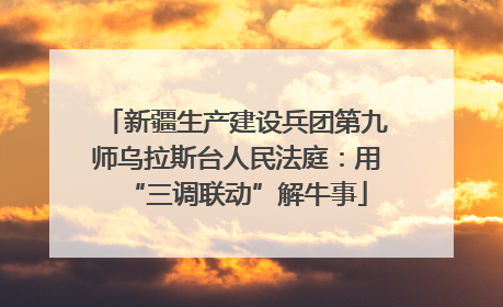 新疆生产建设兵团第九师乌拉斯台人民法庭：用“三调联动”解牛事