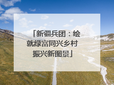新疆兵团：绘就绿富同兴乡村振兴新图景