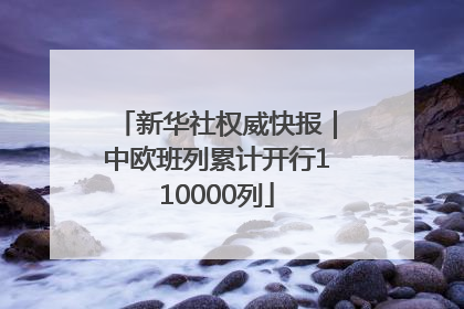 新华社权威快报｜中欧班列累计开行110000列