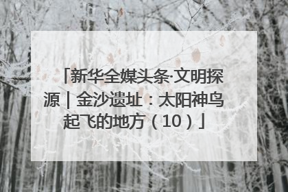 新华全媒头条·文明探源｜金沙遗址：太阳神鸟起飞的地方（10）