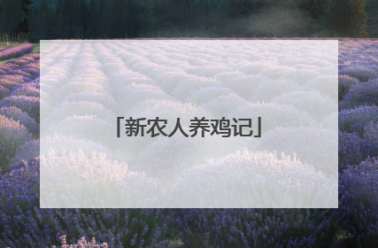 新农人养鸡记