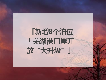 新增8个泊位！芜湖港口岸开放“大升级”