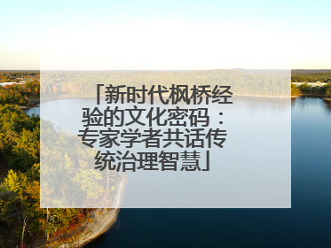 新时代枫桥经验的文化密码：专家学者共话传统治理智慧