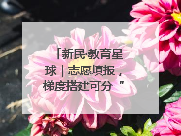 新民·教育星球｜志愿填报，梯度搭建可分“冲稳保”三档