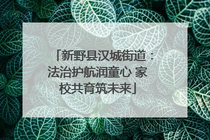 新野县汉城街道：法治护航润童心 家校共育筑未来