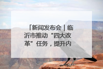 新闻发布会｜临沂市推动“四大改革”任务，提升内部审计监督效能