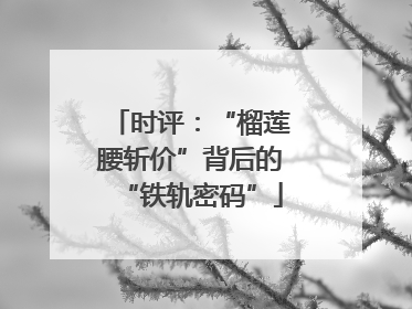 时评：“榴莲腰斩价”背后的“铁轨密码”