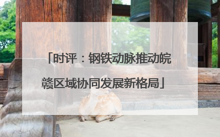 时评：钢铁动脉推动皖赣区域协同发展新格局