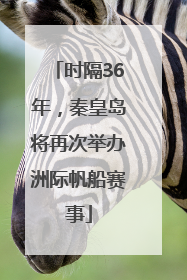 时隔36年，秦皇岛将再次举办洲际帆船赛事
