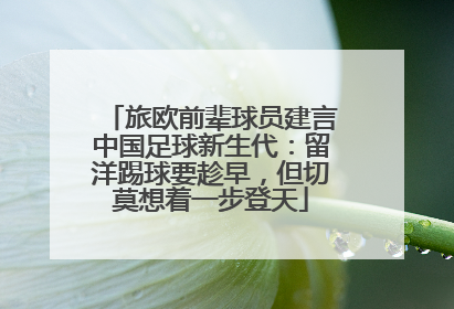 旅欧前辈球员建言中国足球新生代：留洋踢球要趁早，但切莫想着一步登天