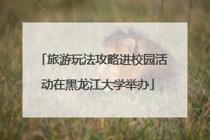 旅游玩法攻略进校园活动在黑龙江大学举办
