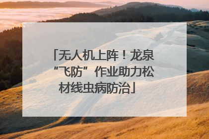 无人机上阵！龙泉“飞防”作业助力松材线虫病防治