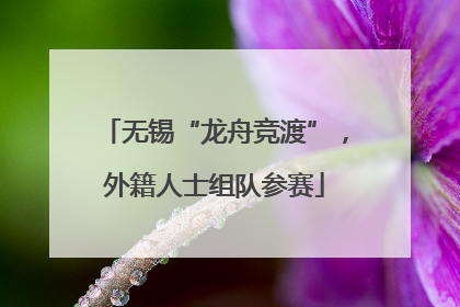 无锡“龙舟竞渡”，外籍人士组队参赛