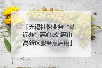 无锡社保业务“就近办”惠心e站惠山高新区服务点启用