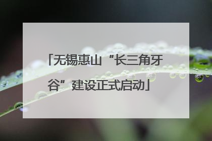 无锡惠山“长三角牙谷”建设正式启动