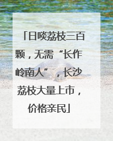 日啖荔枝三百颗，无需“长作岭南人”，长沙荔枝大量上市，价格亲民