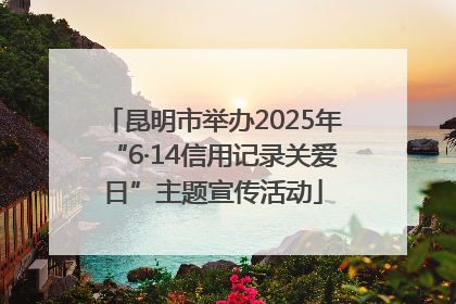 昆明市举办2025年“6·14信用记录关爱日”主题宣传活动