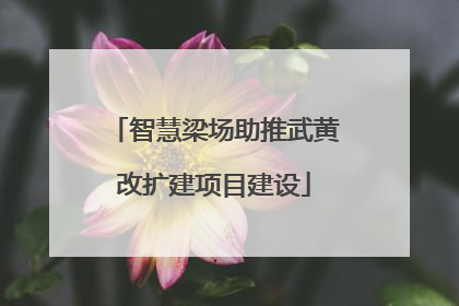 智慧梁场助推武黄改扩建项目建设
