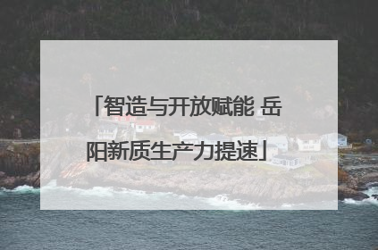 智造与开放赋能 岳阳新质生产力提速