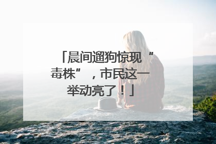 晨间遛狗惊现“毒株”，市民这一举动亮了！