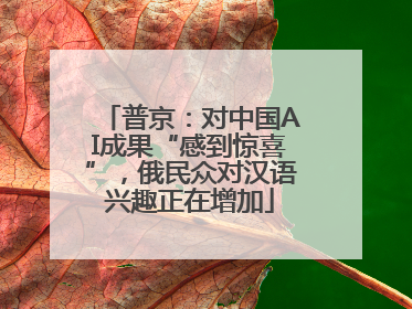 普京：对中国AI成果“感到惊喜”，俄民众对汉语兴趣正在增加