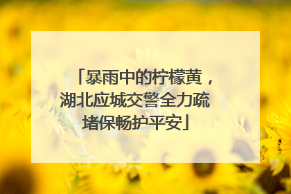 暴雨中的柠檬黄，湖北应城交警全力疏堵保畅护平安