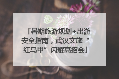 暑期旅游规划+出游安全指南，武汉文旅“红马甲”闪耀高招会