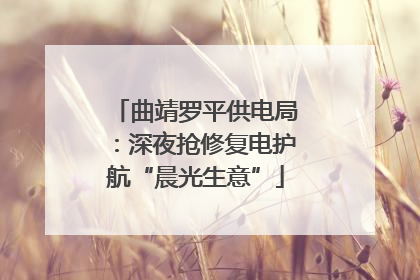 曲靖罗平供电局：深夜抢修复电护航“晨光生意”
