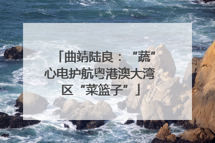 曲靖陆良：“蔬”心电护航粤港澳大湾区“菜篮子”