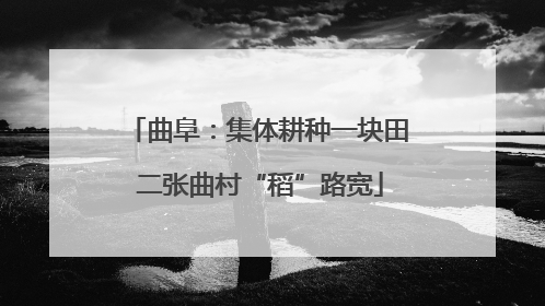 曲阜：集体耕种一块田 二张曲村“稻”路宽