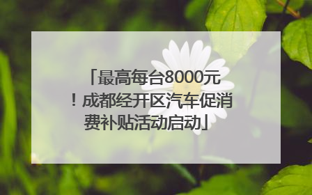 最高每台8000元！成都经开区汽车促消费补贴活动启动