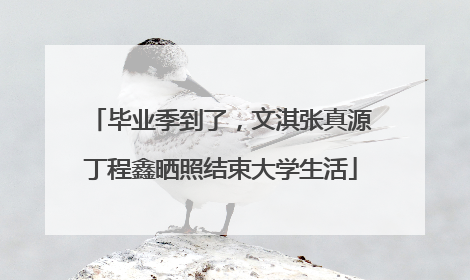 毕业季到了，文淇张真源丁程鑫晒照结束大学生活