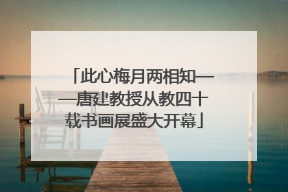 此心梅月两相知——唐建教授从教四十载书画展盛大开幕